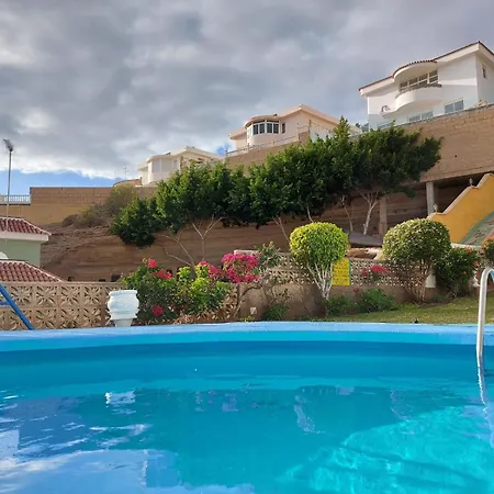 Tucan Next To Siam Park Costa Adeje (Tenerife)